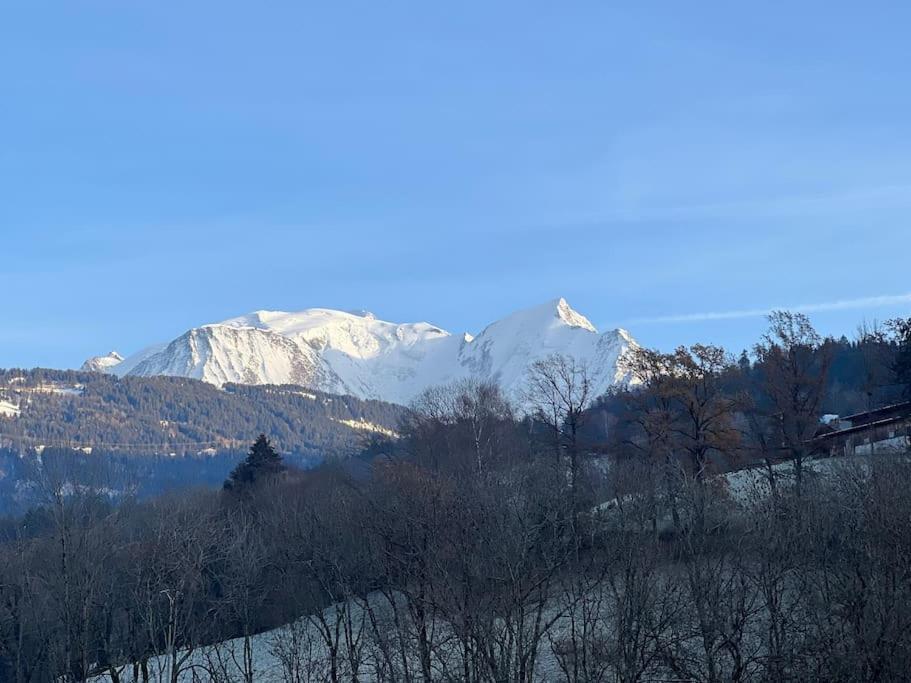 Duplex 3 Vue Mont-blanc
