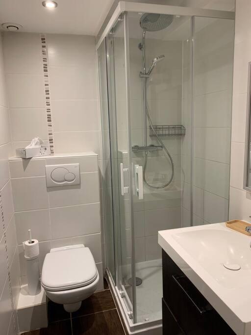 Duplex 3 Vue Mont-blanc