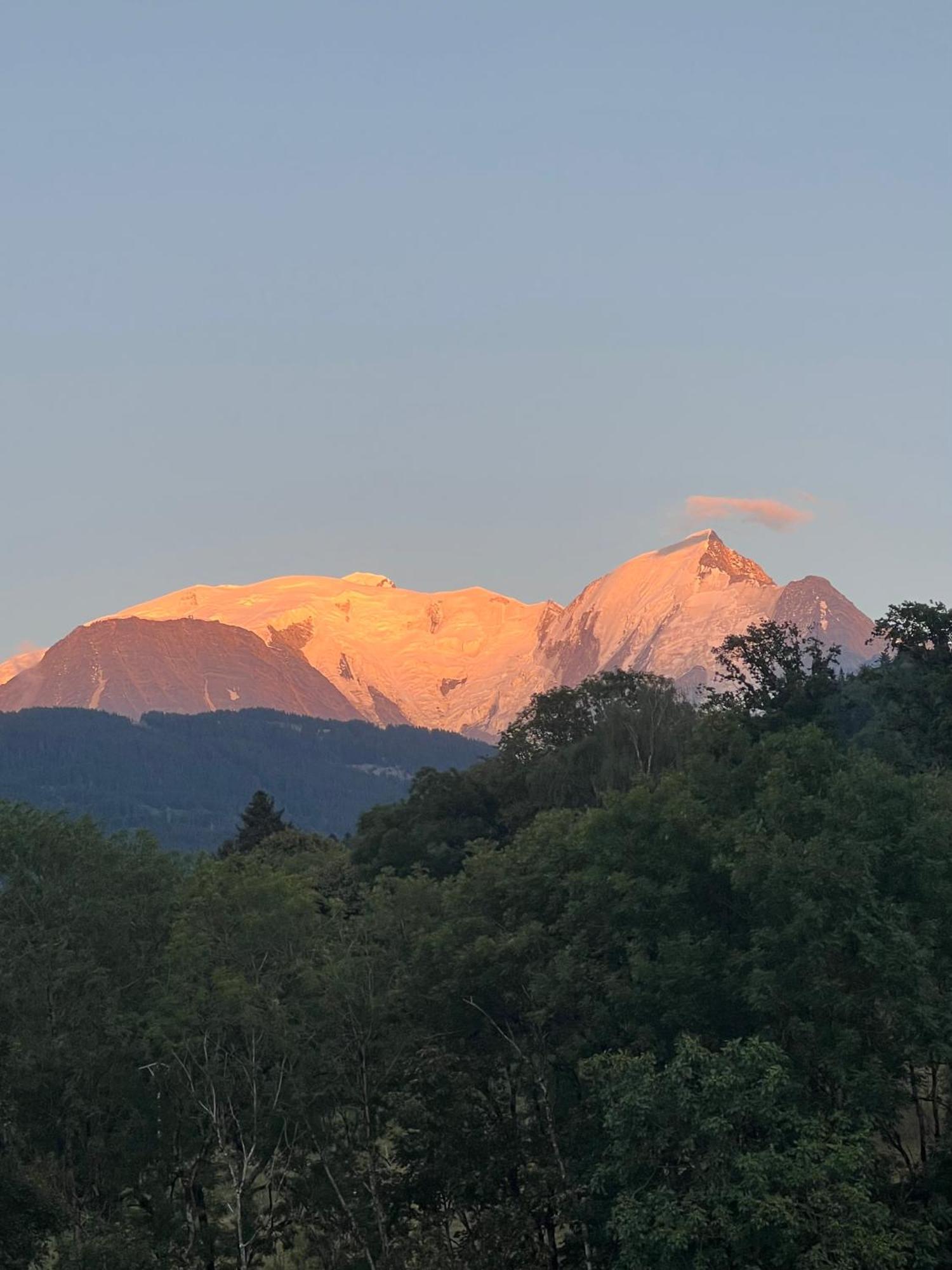 Duplex 3 Vue Mont-blanc * Domancy