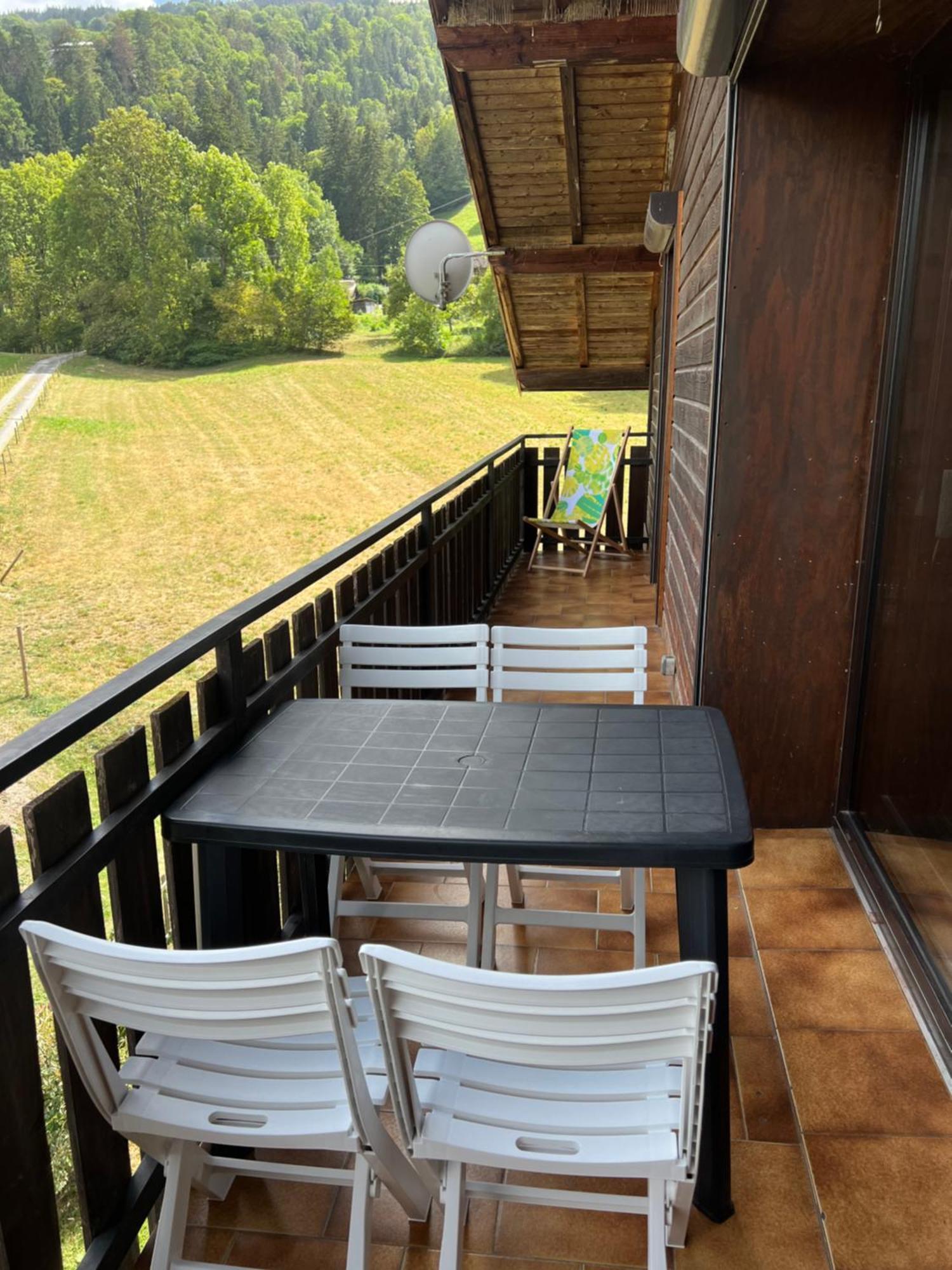Duplex 3 Vue Mont-blanc Apartment