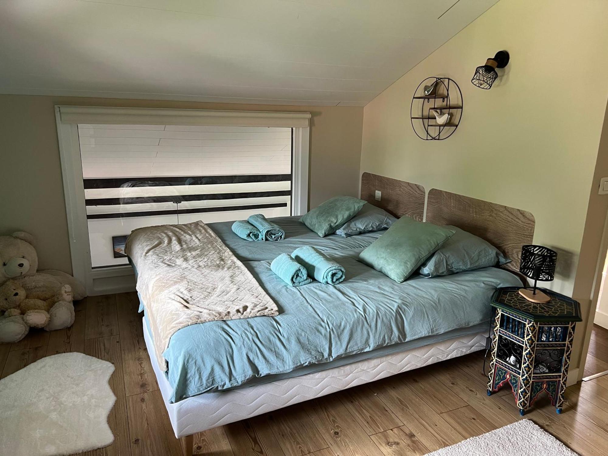 Duplex 3 Vue Mont-blanc Domancy